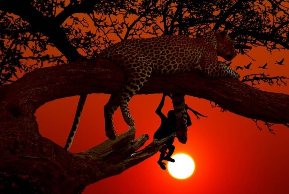 Image for illustrative purposes only - FILE PIX