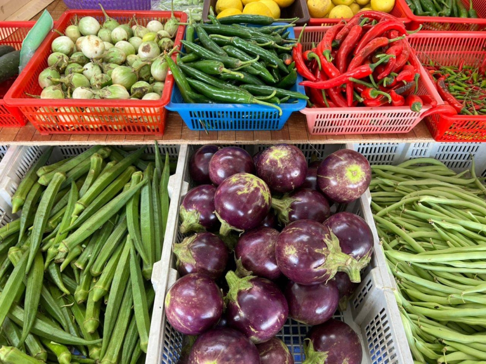 Experts said encouraging students to grow their own vegetables could help overcome shortage, price hikes. - Photo by KOUSALYA SELVAM