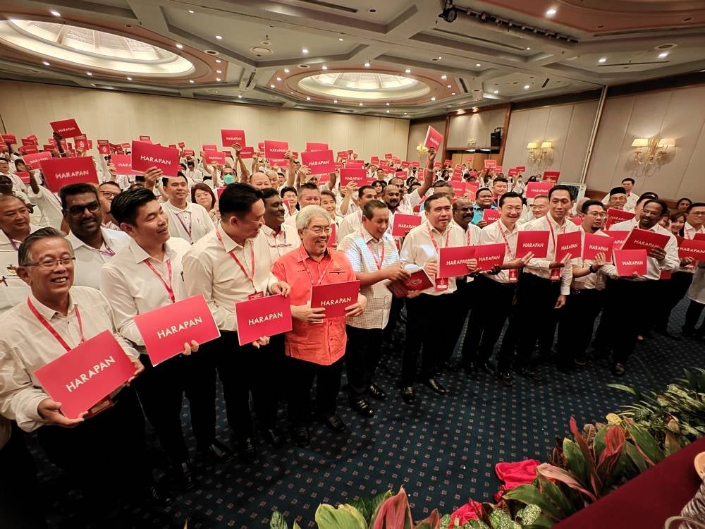 DAP admits that the party still needs time to adapt to Barisan Nasional (BN).
