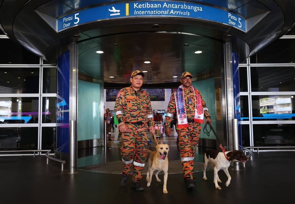 
Tracker dogs, Denti and Frankie arriving in KLIA - FILE PIC
