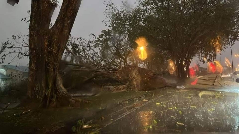 Uprooted tree in a thunderstorm that occurred yesterday in Jalan Pahlawan, Sibu. - Photo: FACEBOOK / MALAYSIA EXTREME WEATHER METEOROGICAL ORGANISATION