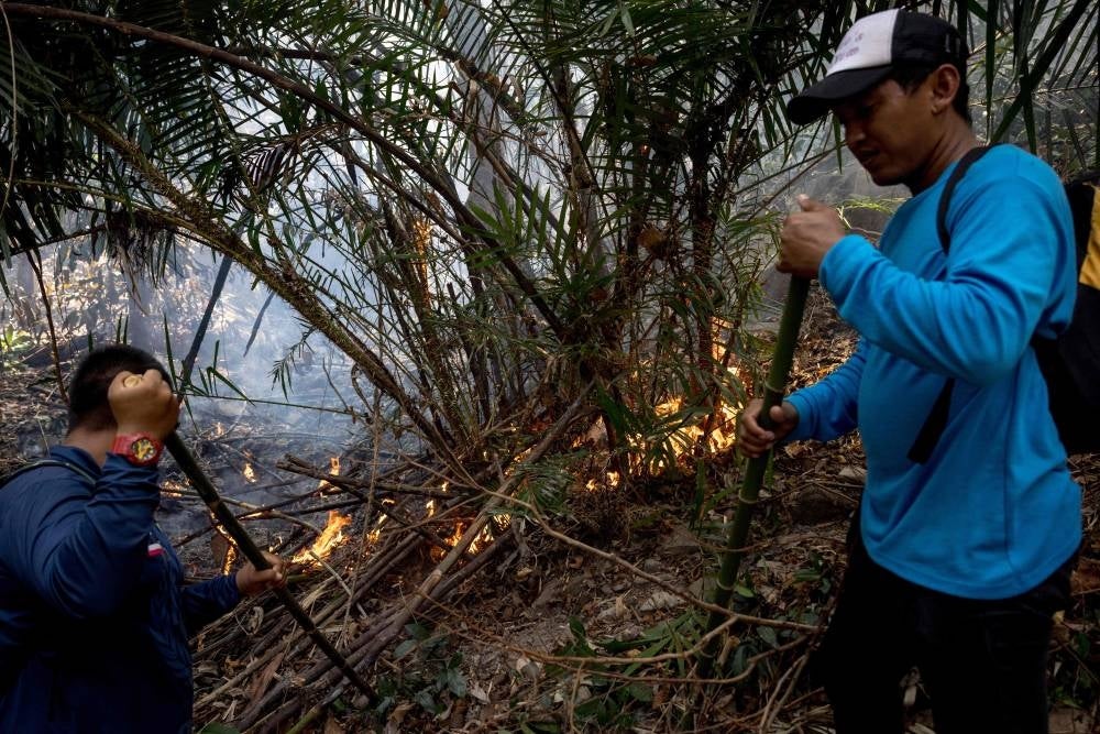 Members of a fire and rescue team attend to a forest fire on a mountain-side in Nakhon Nayok province, northeast of Bangkok on March 31. - Hundreds of Thai firefighters and soldiers battled a forest blaze less than 100 kilometres from Bangkok as the kingdom grapples with air pollution. Authorities in the Northern city of Chiang Mai today urged residents to stay indoors as air pollution reached hazardous levels. - Pic: AFP