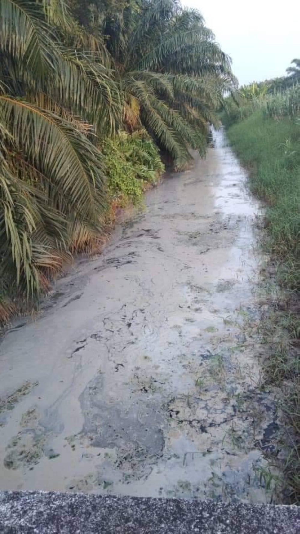 Natural Resources, Environment and Climate Change Minister Nik Nazmi Nik Ahmad had previously announced that all states in the country would be hit by prolonged hot weather till August due to the inter-monsoon period.