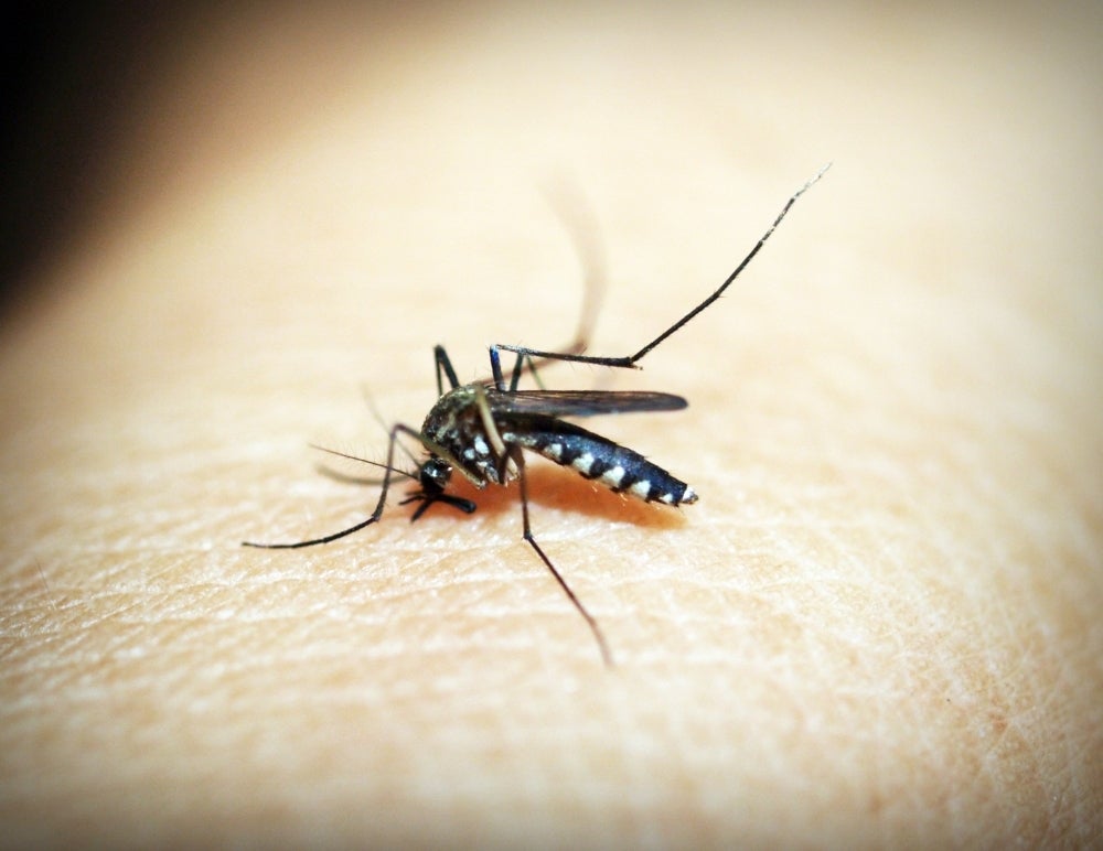 Johor Health Department has issued 2,132 compounds totalling RM1.017 million through the anti-Aedes breeding operations carried out in the first four months this year.