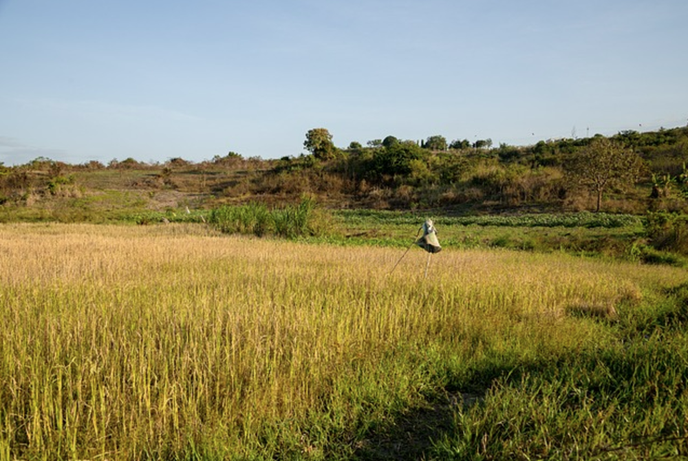 Image for illustrative purposes only. - FILE PIX