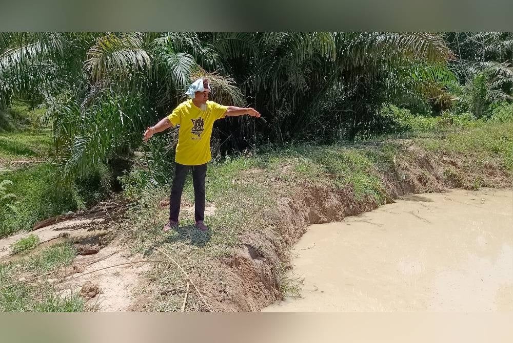 Idris showing the damage to the embankment of the pond due to being trampled by elephants - FILEPIC 