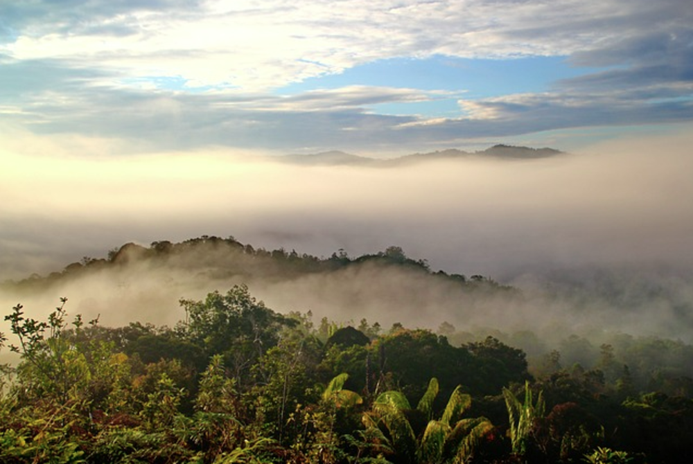 Image for illustrative purposes only. - FILE PIX