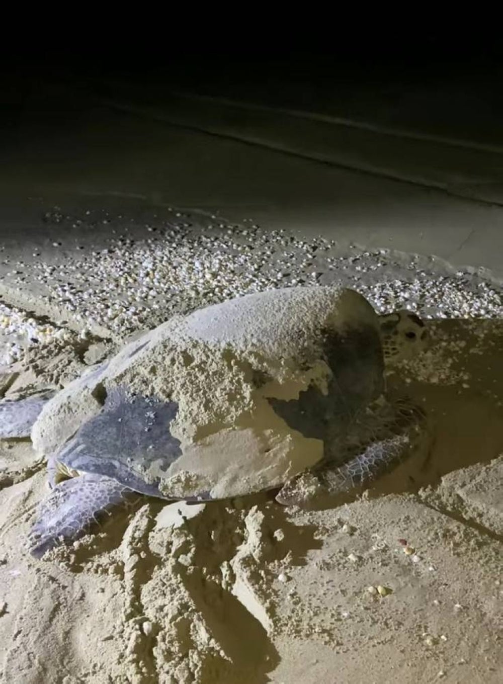 For illustration purpose