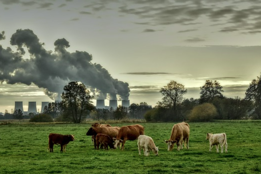 Image for illustrative purposes only. - FILE PIX