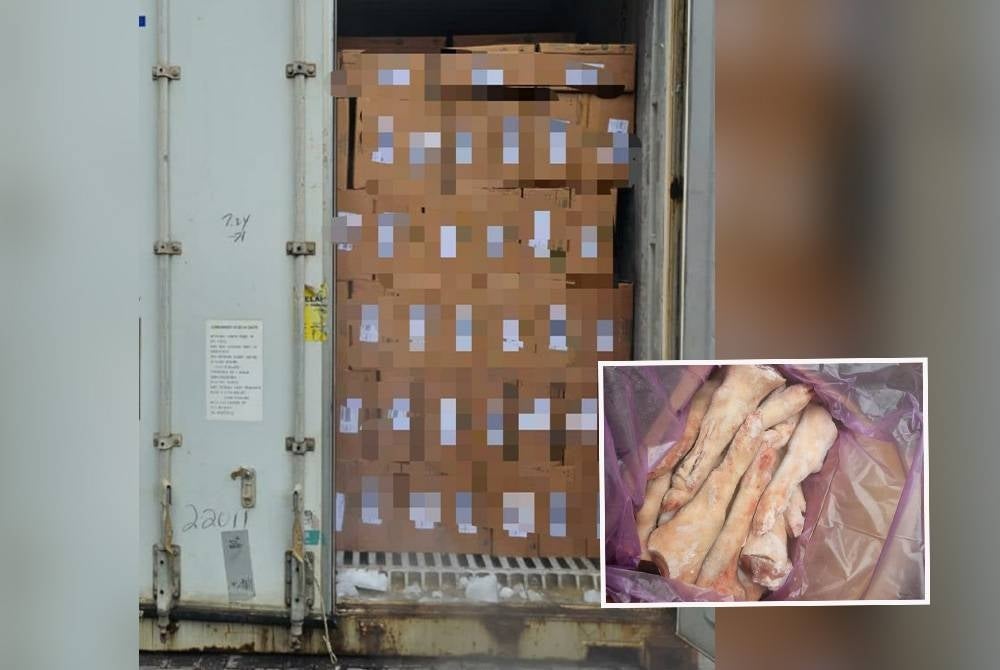 Selangor Maqis director Mohd Sobri Md Hashim said the activity was detected during an inspection carried out by the department involving a container.