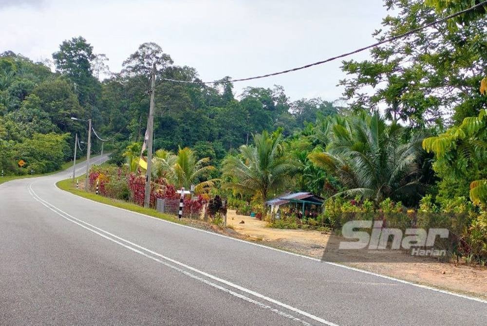 Amin's residence is located in close proximity to a forest on the opposite side of the road.