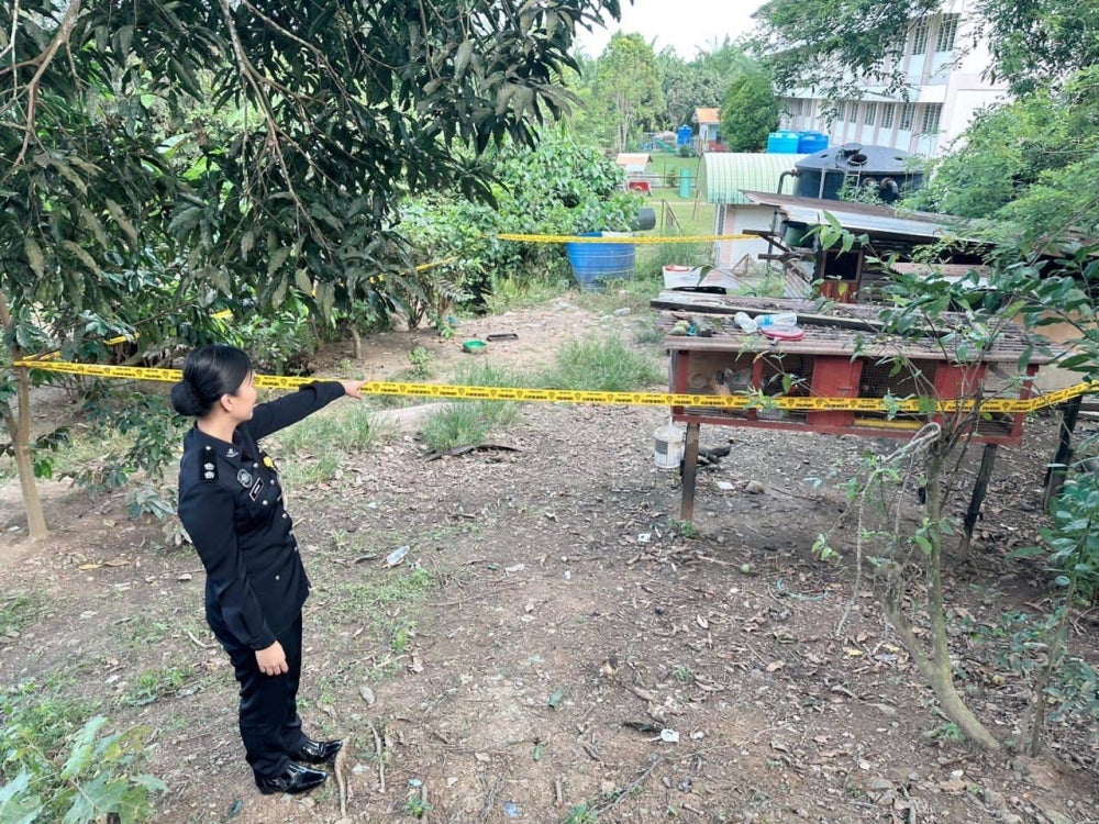 A police officer showing the location of the chicken coop that the child was found on in Kampung Jawa, Lahad Datu - FILE PIX
