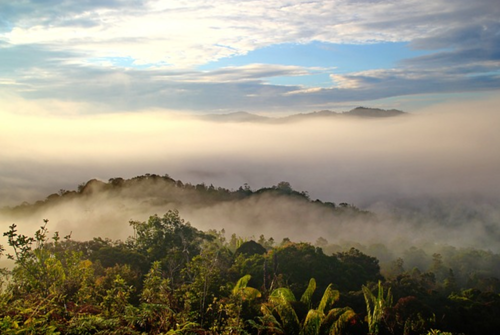 Image for illustrative purposes only – FILE PIX