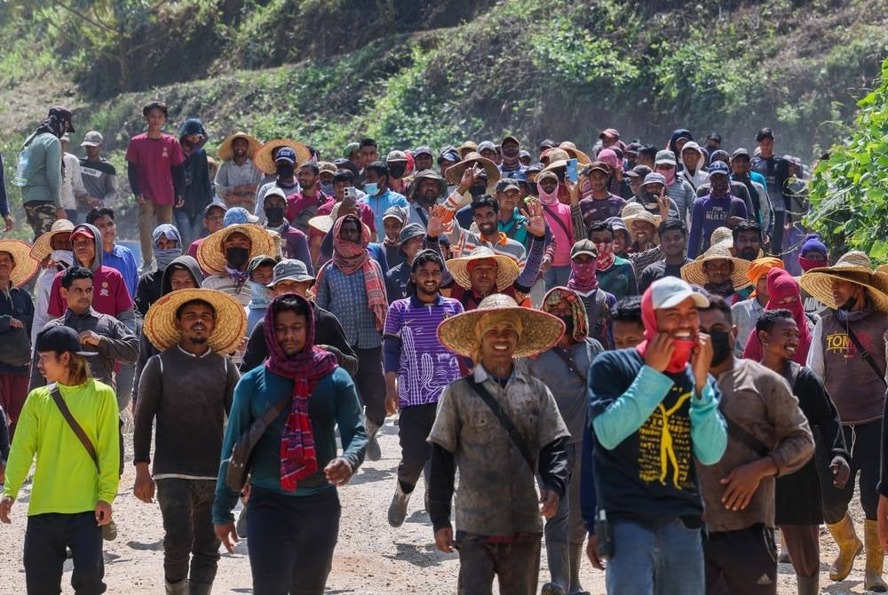 RAUB, June 13 - More than 200 workers are employed to work on a 404.68-hectare durian farm belonging to the Royal Pahang Durian Group (RPDG) during a Bernama photo survey in Tras, Raub today. - BERNAMA photo (2023) COPYRIGHT RESERVED