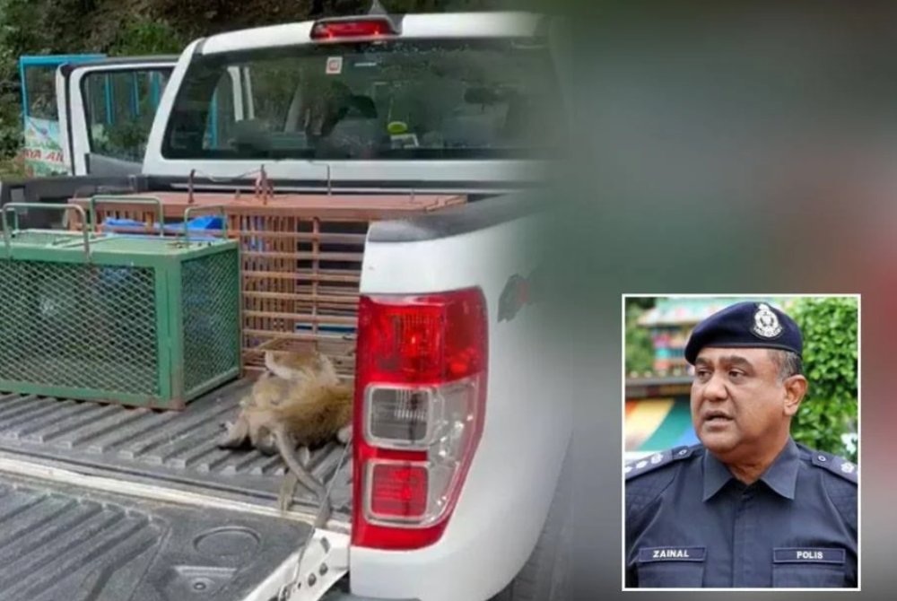 Gombak District Police Chief, Assistant Commissioner Zainal Mohamed Mohamed, said the 52-second viral video was detected at about 7 pm. - Filepic