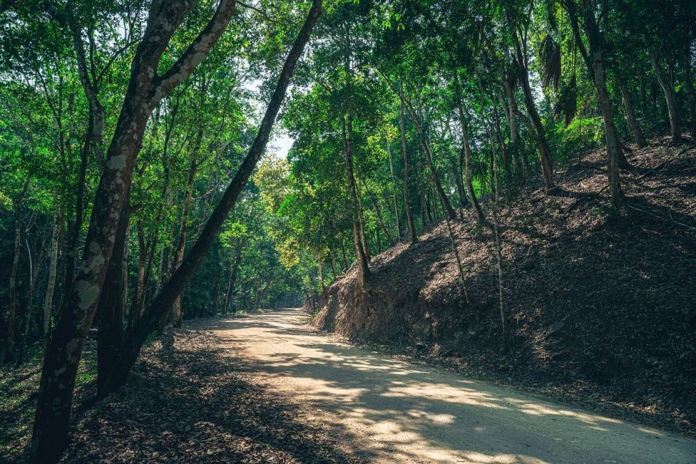 Picture for illustrative purposes - FILE PIX 