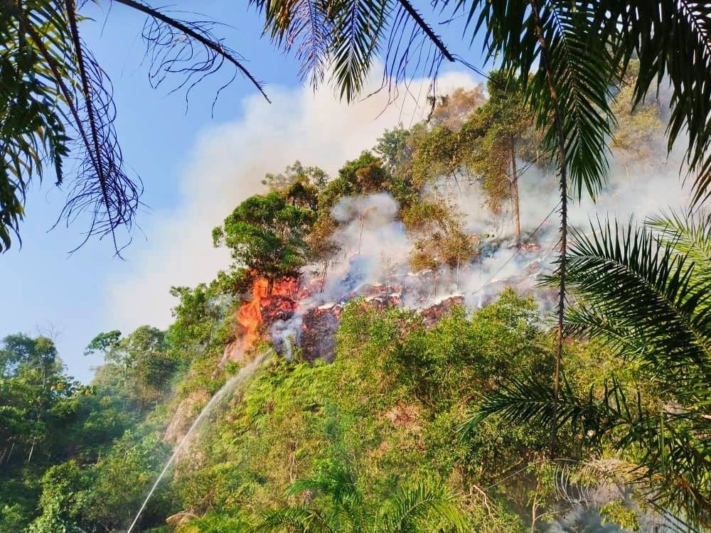 Firemen extinguishing the fire at Bukit Semanggol. - Photo by Perak Fire Department