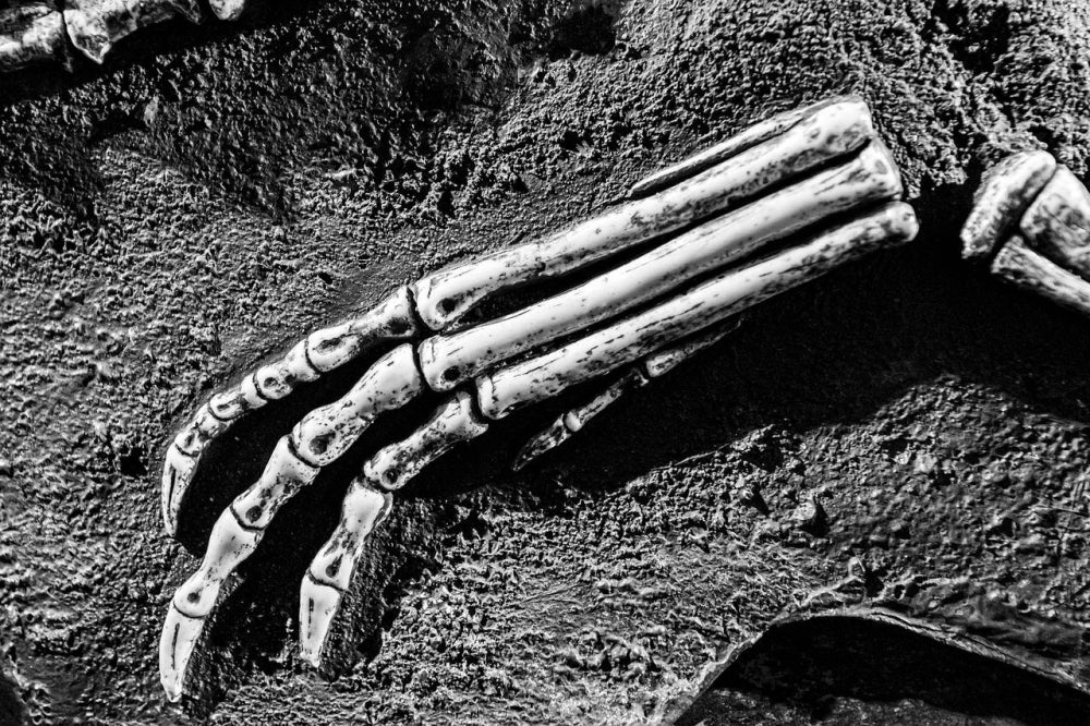 Picture for the illustrative purposes - FILE PIX