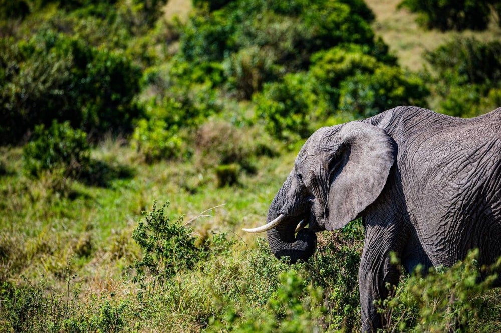 Picture for illustrative purposes - FILE PIX 