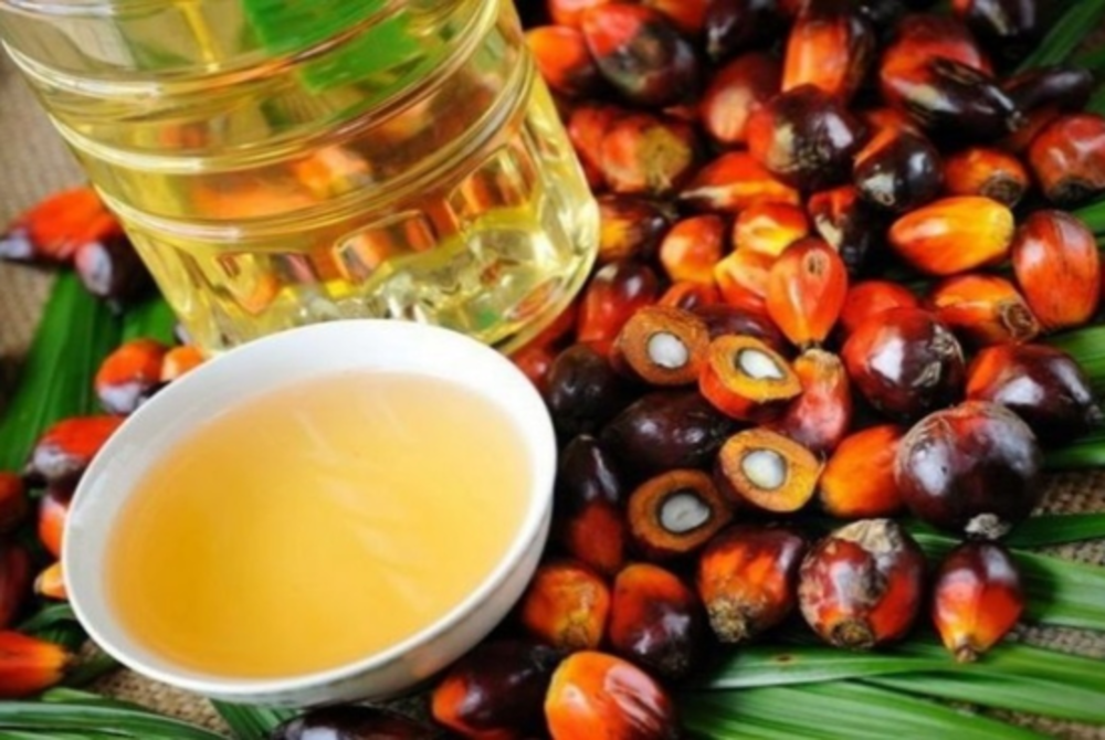 Image for illustrative purposes only – BERNAMA