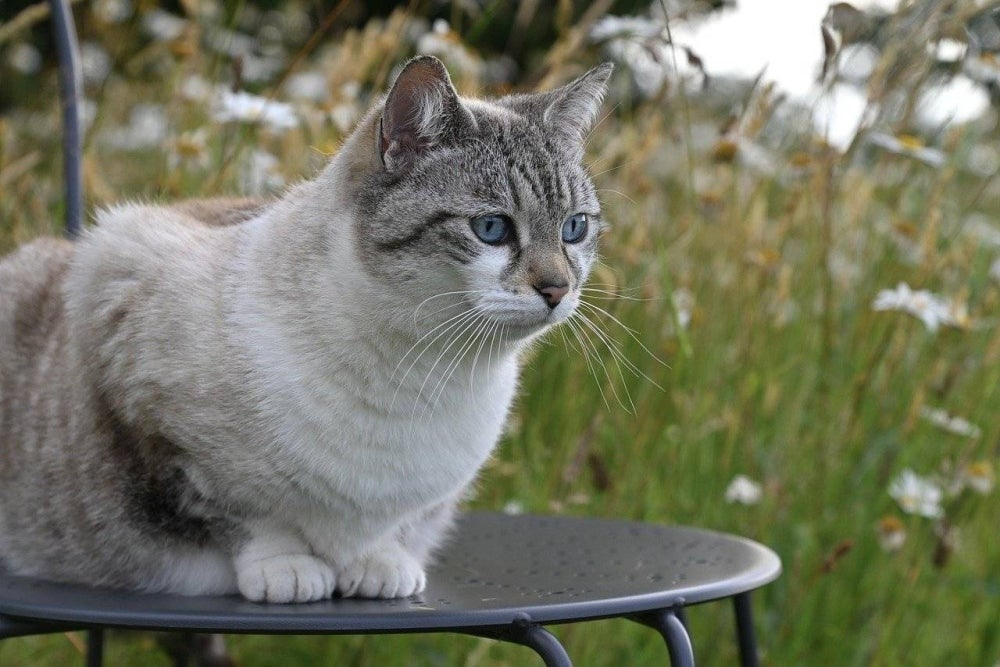 Photo for illustrative purposes. - File PIX