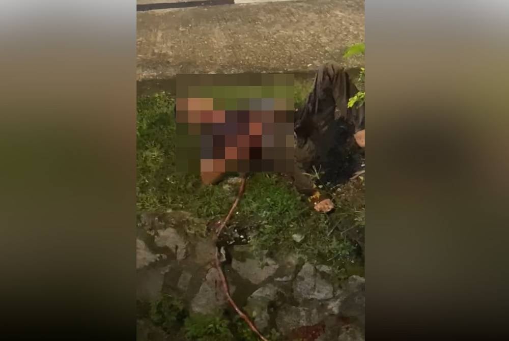 Screenshot of a viral video showing a man lying by the side of a ditch after stabbing himself in front of a restaurant in Taman Suria, Johor Bahru on Thursday night.