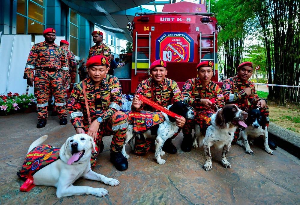 Four rescue dogs from the K9 Unit - Blake, Lady, Grouse and Pop awarded the Golden Performance medal on Jan 9 2023 at Putrajaya - FILE PIX by Bernama