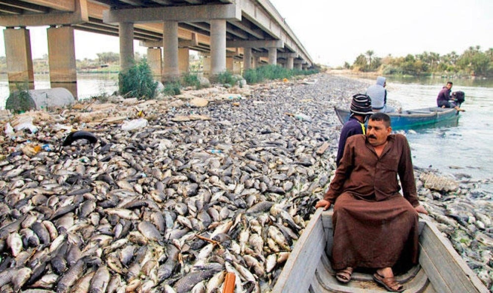 The Iraqi government has launched an investigation into the fish deaths.-AFP filepix