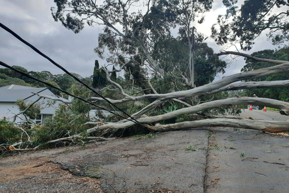 Strong thunderstorms are expected across the western High Plains on Thursday with damaging wind gusts, large hail and a few tornadoes. - Facebook