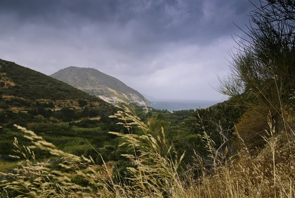 Image for illustrative purposes only. – FILE PIX