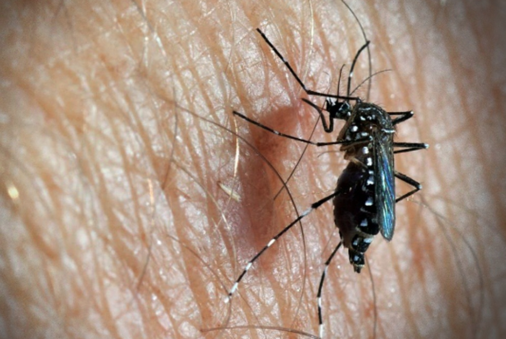 Image for illustrative purposes only. - BERNAMA