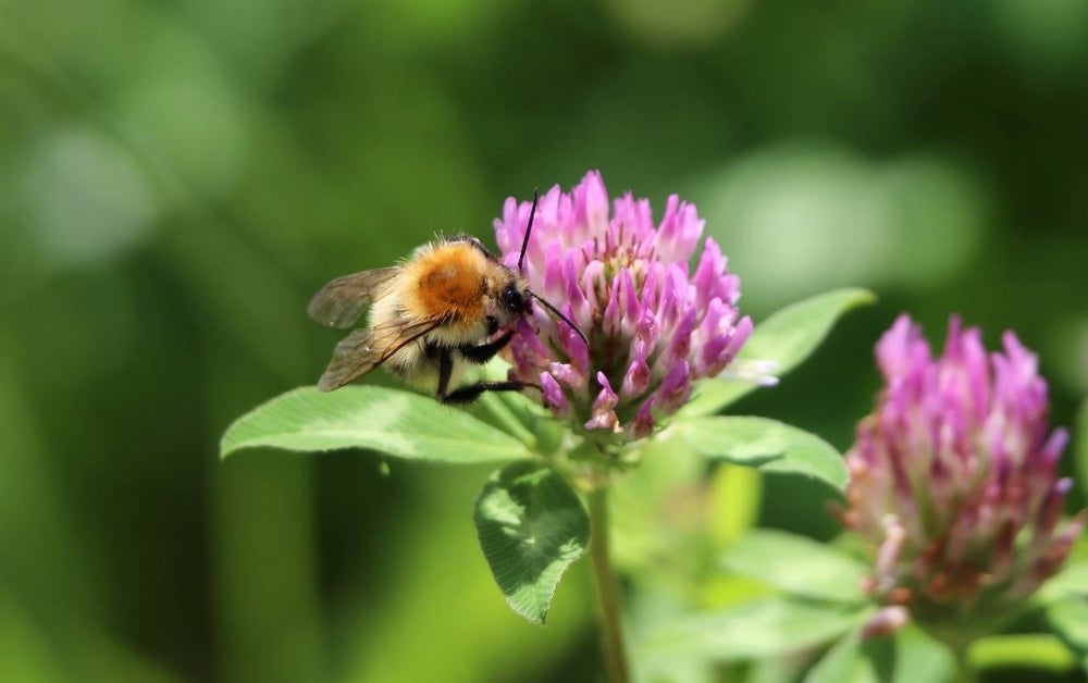 Picture for illustrative purposes - FILE PIC 