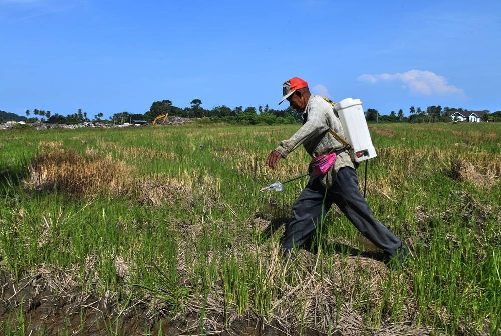 Image for illustrative purposes only. – BERNAMA 