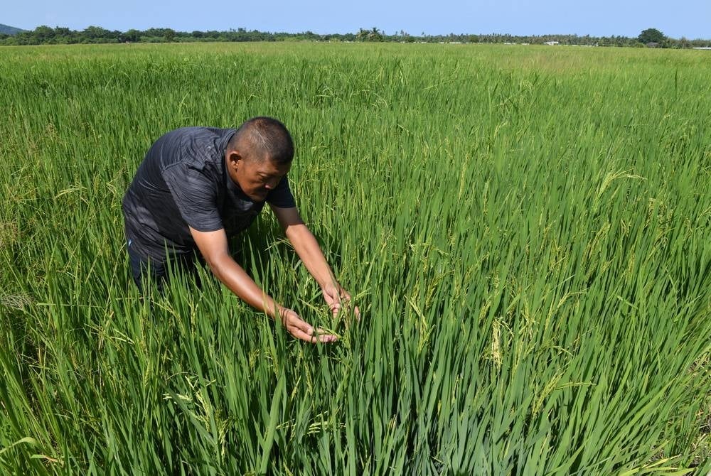 Image for illustrative purposes only. – BERNAMA