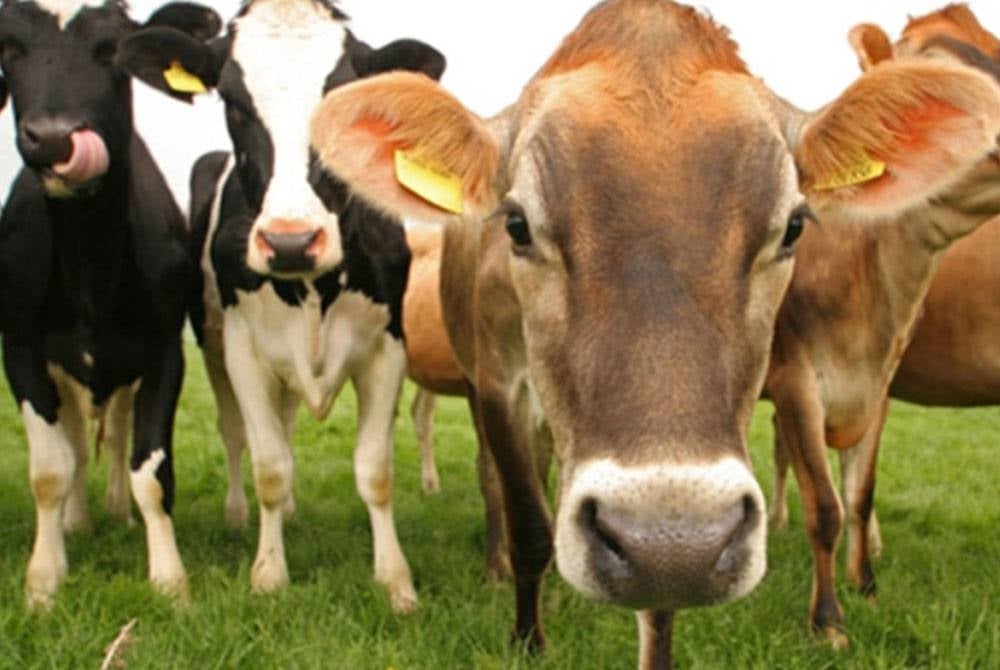 Photo for illustrative purposes. 