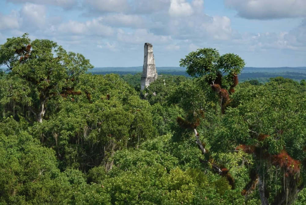 Image for illustrative purposes only. - Facebook