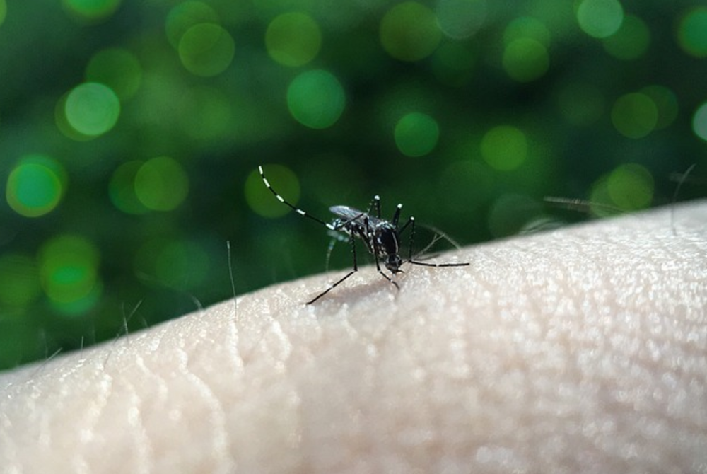 Image for illustrative purposes only. – FILE PIX