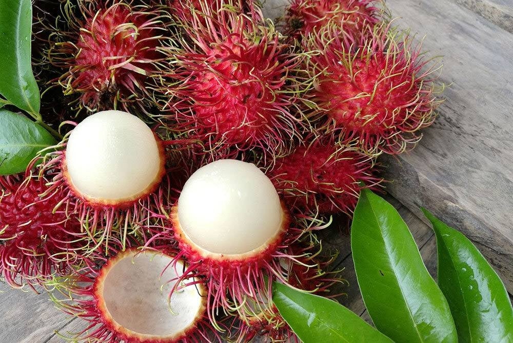 Photo for illustrative purposes.