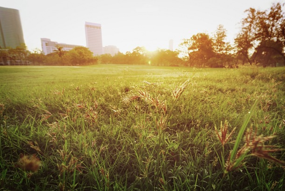 Image for illustrative purposes only. - FILE PIX