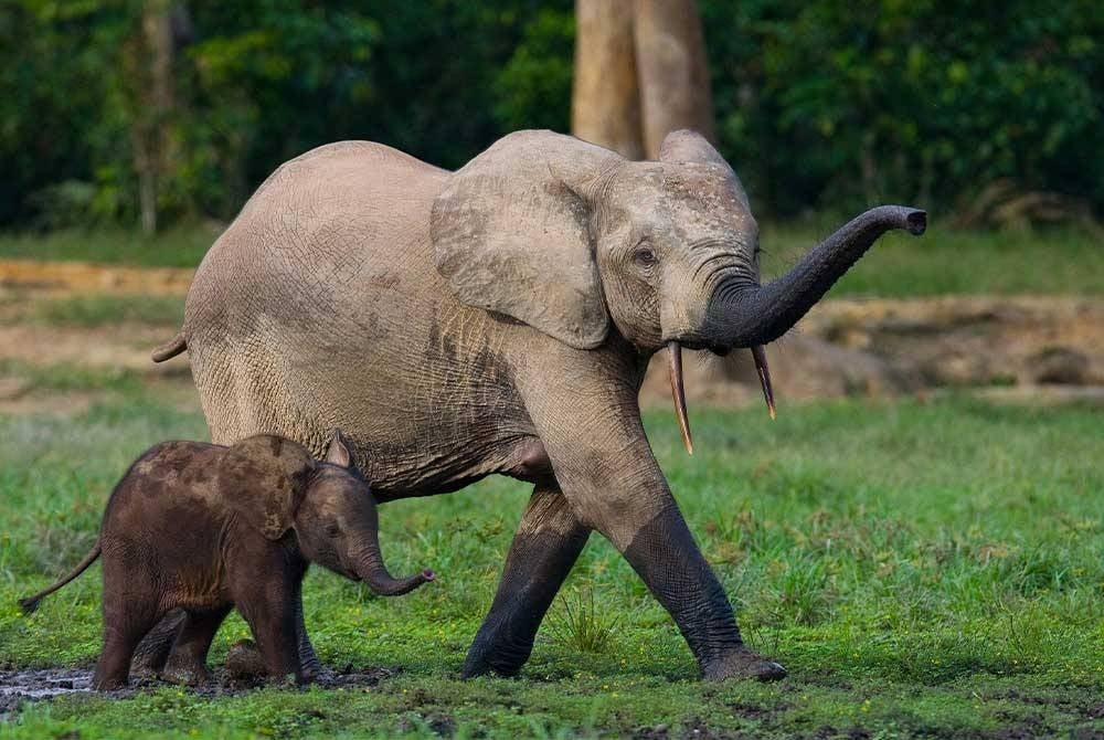 Photo for illustrative purposes. - FILE PIX