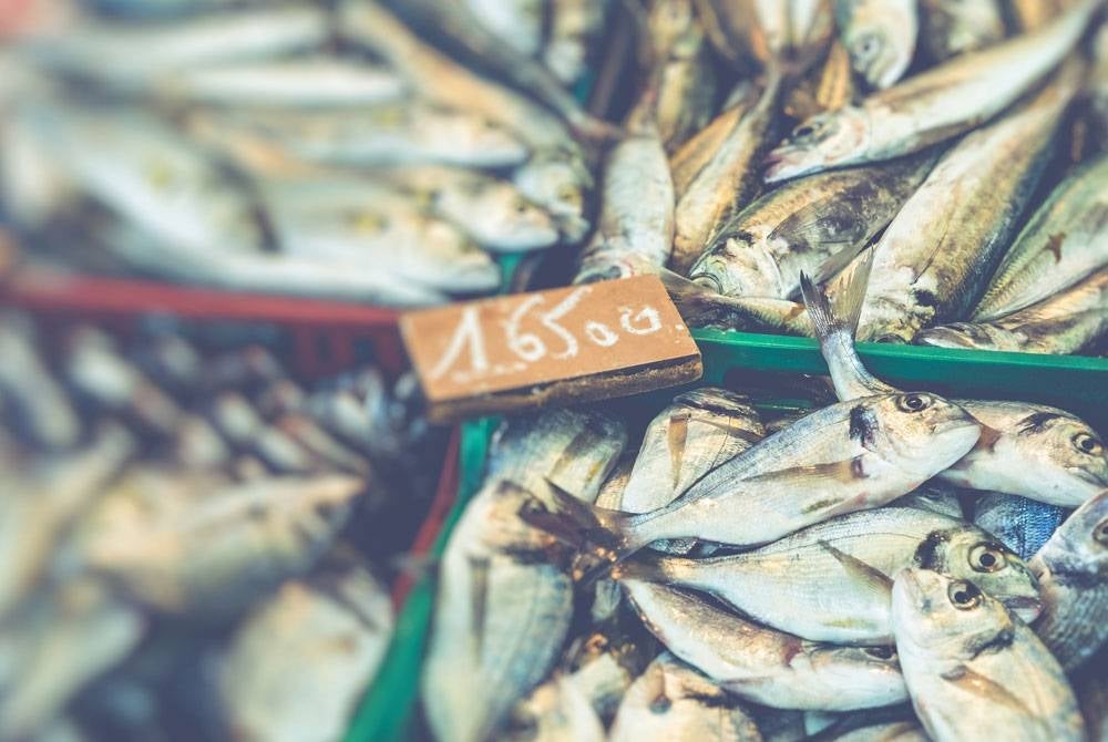 Since Aug 24, Japan has been releasing treated radioactive water from the Fukushima nuclear plant into the Pacific Ocean despite facing strong criticism and seafood import restrictions from China, North Korea, and Hong Kong. - Photo: 123rf