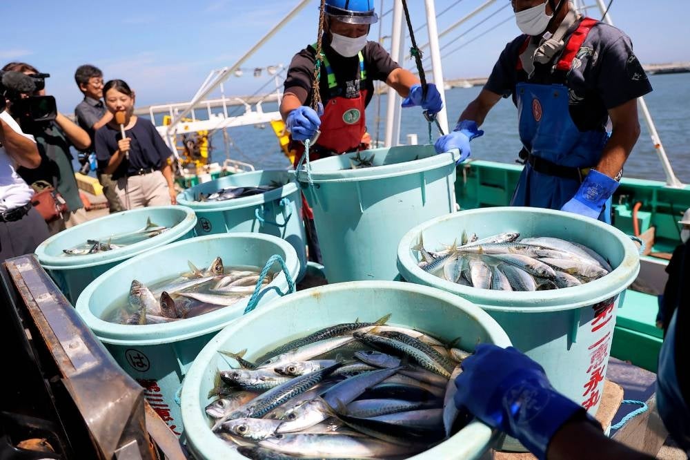Fishery workers unload seafood caught in offshore trawl fishing at Matsukawaura port in Soma City, Fukushima prefecture on September 1, 2023, about a week after the country began discharging treated wastewater from the TEPCO Fukushima Daiichi nuclear power plant - AFP 