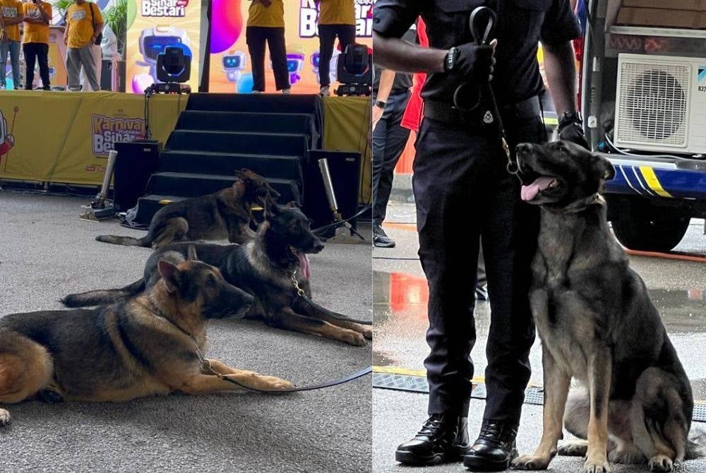 Participants at the Karnival Pendidikan Sinar Bestari were treated to a spectacular performance by K9 unit dogs - KOUSALYA SELVAM