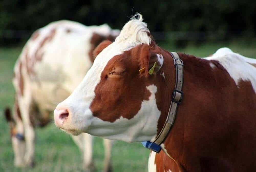 Image for illustrative purposes only. - FILE PIX