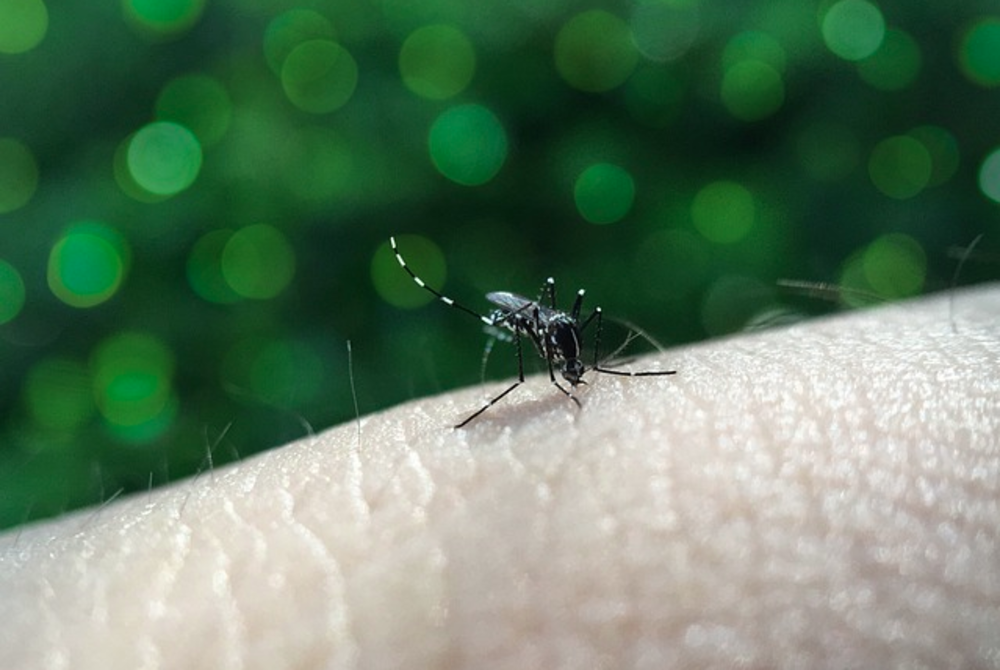 Image for illustrative purposes only. - FILE PIX