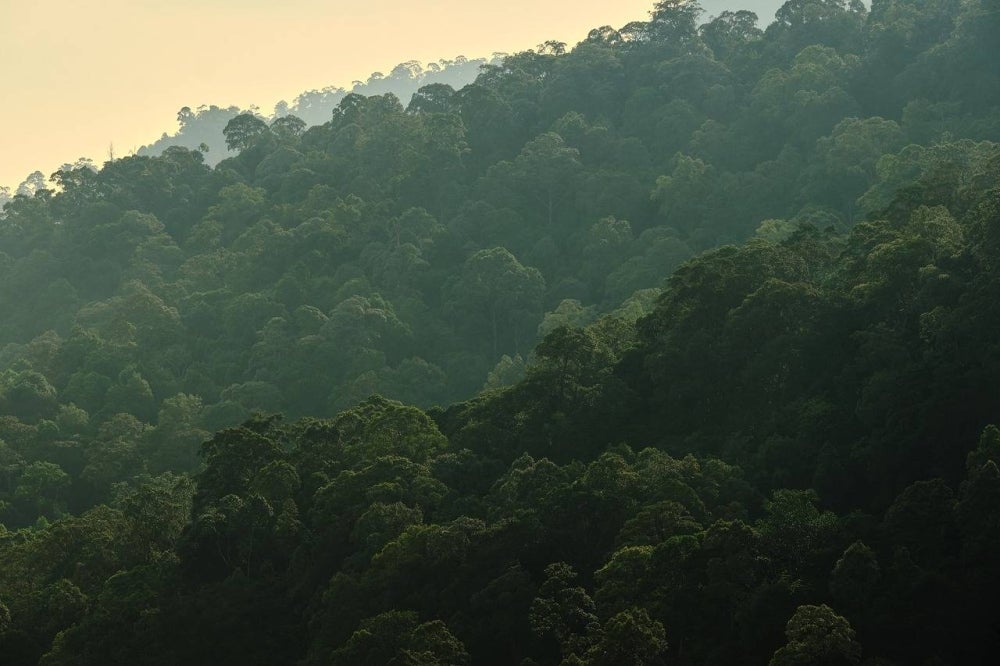 Photo for illustrative purposes - FILE PIX