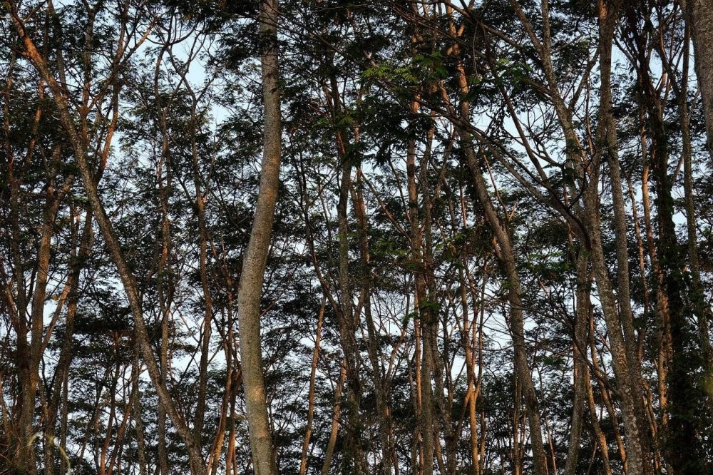 Picture for illustrative purposes - FILE PIC