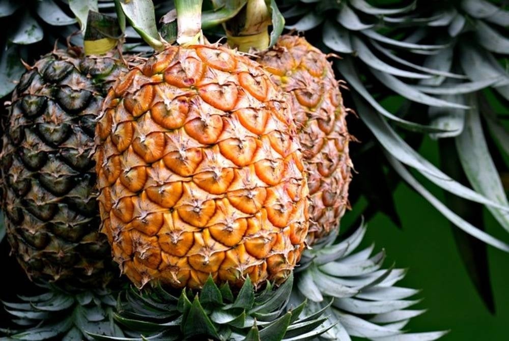 Image for illustrative purposes only. - FILE PIX