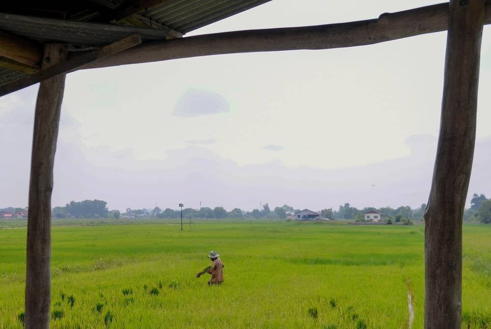 Image for illustrative purposes only. - BERNAMA