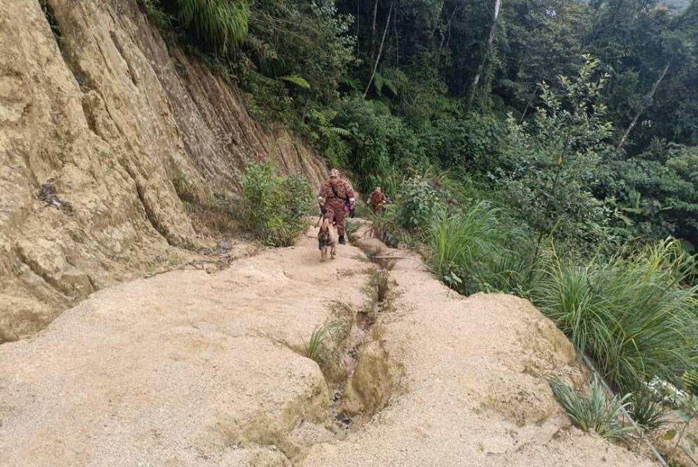 Firemen searching for the tourist with a tracker dog